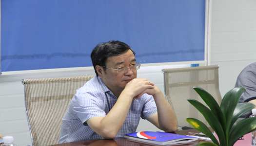 巩魁生副厅长莅临锦艺四时城C地块安设房项目调研领导